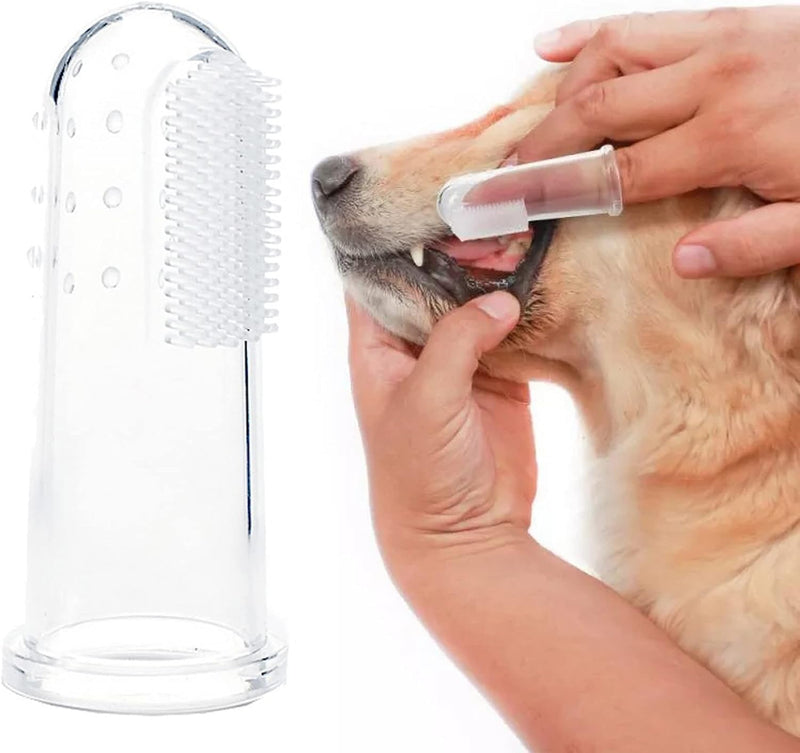10Pcs White Dog Finger Toothbrush Food Grade Soft Bristles Pet Toothbrush, Soft Silicone Cat Toothbrush Washable and Comfortable Dog Toothbrushes - PawsPlanet Australia