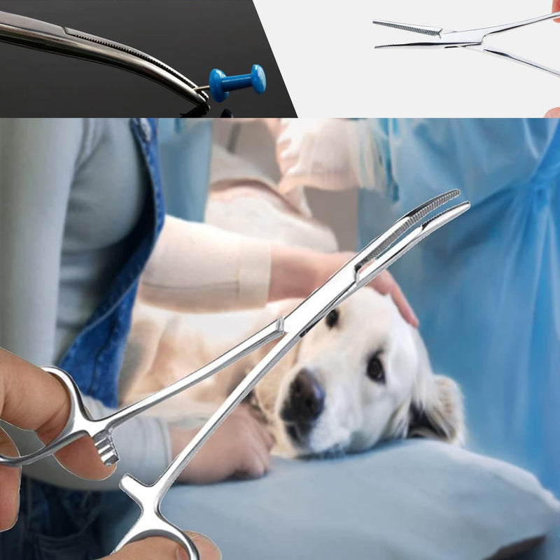 1-Piece Professional Pet Grooming Forceps - Locking Ear Hair Tweezers for Precise Dog/Cat Grooming, Veterinary-Grade Stainless Steel Hemostat Tool for Safe Animal Care - PawsPlanet Australia