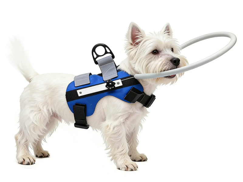 Ring Harness for Blind Dog, Lightweight Blind Ring for Pets, Blind Dog Bumper, Bump Guard for Blind Dogs Upgrade Blue Small Small: Recommand Weight 8.8-22 lbs (4-10kg) UpgradeBlue