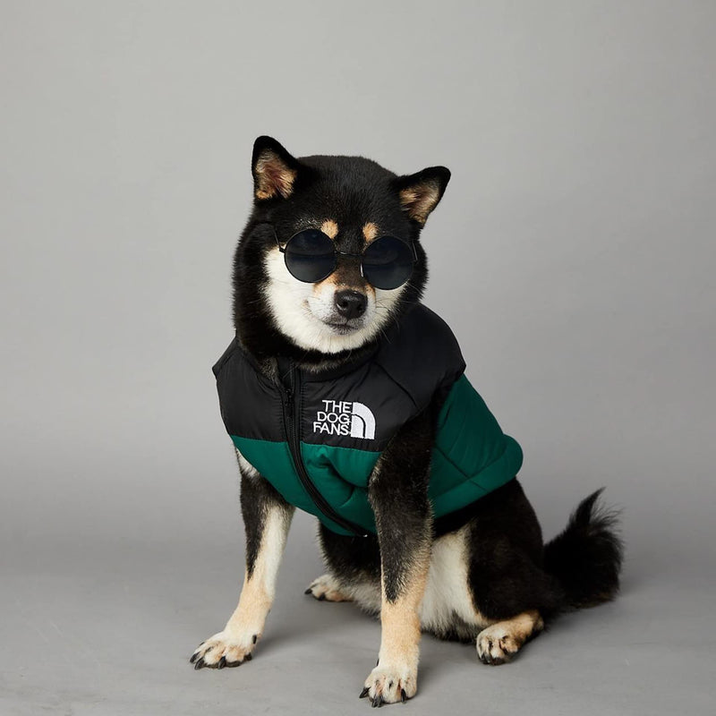 ChoChoCho Puffer Vest - Stylish Dog Jacket, Warm Coats for Cold Weather, Snow & Winter (Green, S) S (Chest: 15.7'' / Suggest: 2-5 lbs) Vest-Green
