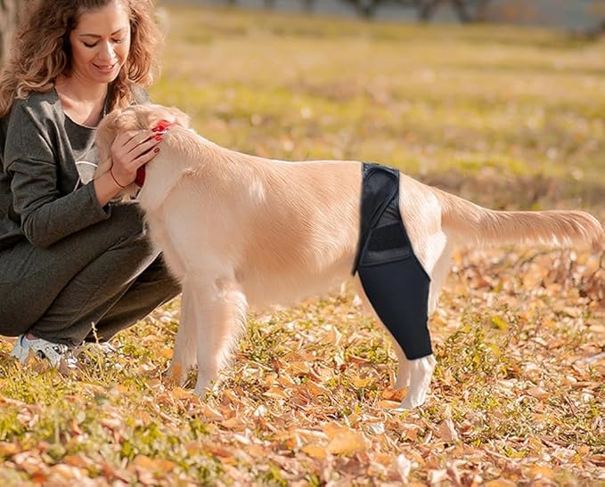 Compressive Back Paw Support Dog Support Joints Hip Protective Band Pets Muscle Stabilizer (S) S