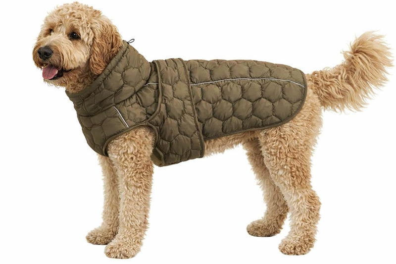 Dog Cold Weather Coat Vest Warm Fleece Jacket Puffer Dog Clothes for Small Dogs Medium Large Dogs (Green, Small) Green