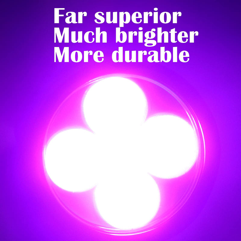 S5 UV Flashlight, Black Light Flashlight with 5 LEDs, for UV Resin Curing, Rockhounding, Pet Urine Detecting, Scorpion Hunting (385NM) 385NM - PawsPlanet Australia