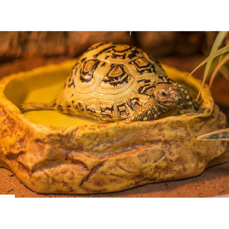 Reptile Water Dish,Resin Reptile Rock Food Feeder Bowl, Water and Food Bowl,Terrarium Decor for Leopard Gecko, Lizard,Spider,Turtle,Scorpion, Chameleon,Hermit Crabs (M, Yellow) Medium - PawsPlanet Australia