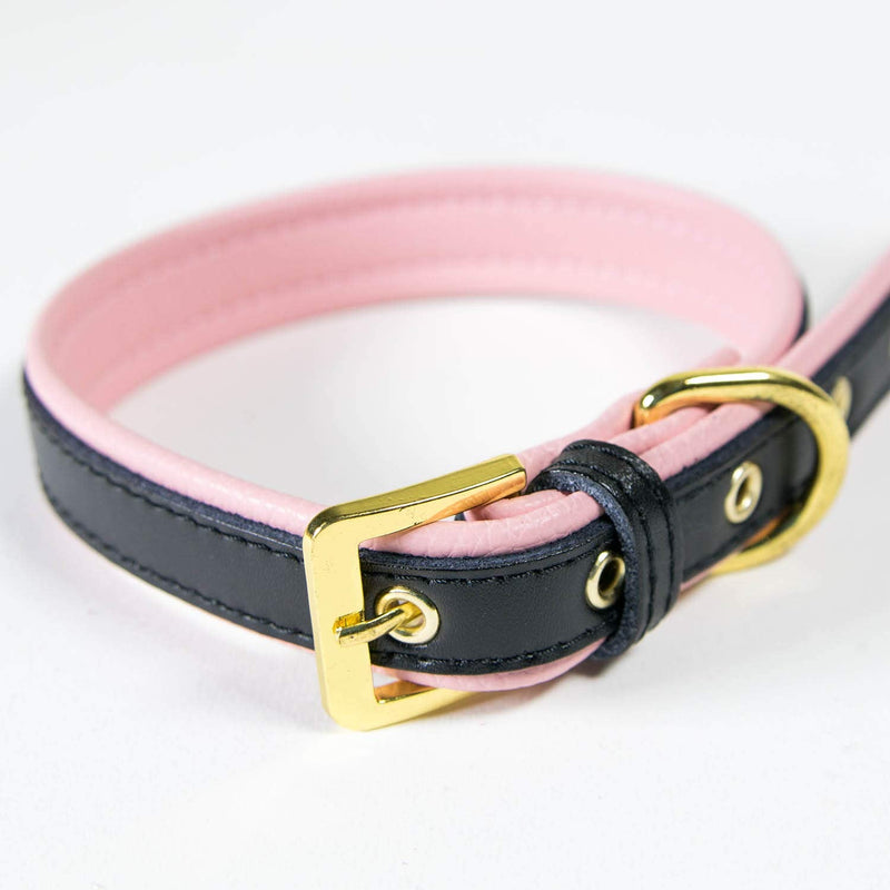 Girl Dog Collar/Cat Collar Adjustable XS - Small Pink Soft & Comfy Padded Leather Puppy Cute Pet Collars - Black XS (Neck Size 8" - 10.5") Black on Pink - PawsPlanet Australia