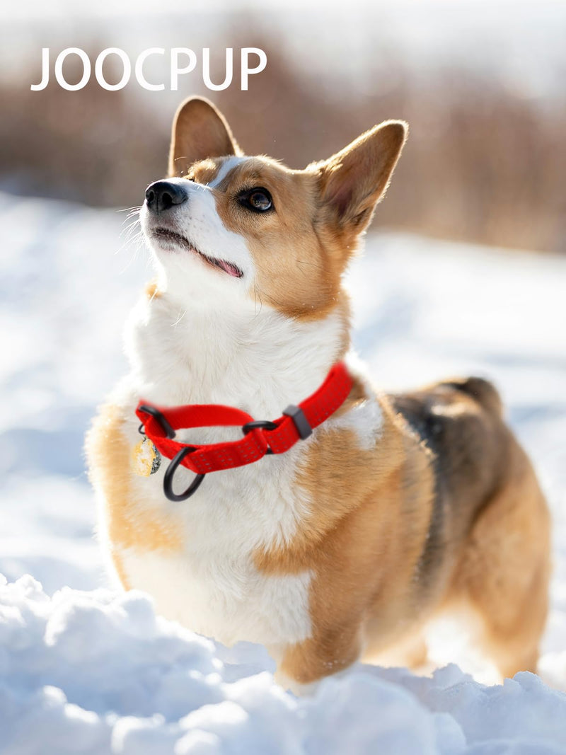 Martingale Collar for Dogs, Adjustable Soft Nylon Dog Collars with Special Design Cute Patterns (RED, S (1" x 12"-15.8")) RED S (1" x 12"-15.8") - PawsPlanet Australia