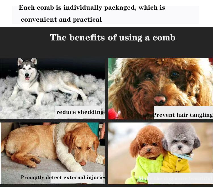 Ultimate 4-Piece Pet Grooming Kit | Stainless Steel Nail Clipper, Deshedding Brush, Metal Comb & Tools for Cats & Dogs | Easy to Use, Perfect for Beginners | Groom Hair, Nails & Ears Effortlessly - PawsPlanet Australia