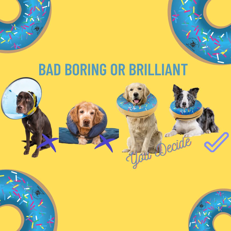 Dog Donut Collar | Great Alternative to a Traditional Dog Cone or a Soft Dog Cone Collar | Our Inflatable Dog Cone is an Excellent Cone for Dogs after Surgery | Dog Cones for Large Dogs (Blue) Blue - PawsPlanet Australia