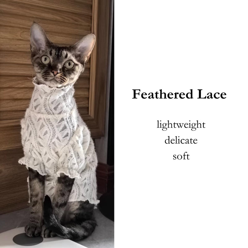 Cat Soft Lace Turtleneck Shirt, Elegant Skin-Friendly Warm Sweater Pullover Clothes for Hairless Sphynx, Devon & All Indoor Kittens (M) White M - PawsPlanet Australia