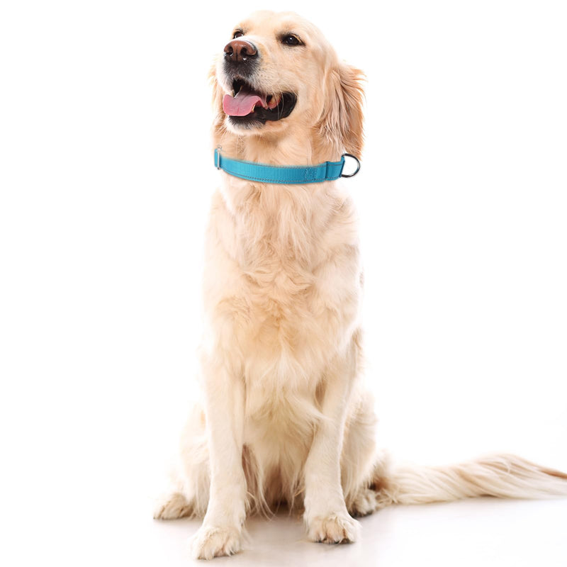 SGODA Martingale Dog Collar, Reflective Nylon Padded Dog Training Collars for Large Dogs, Blue L Large (Neck: 16"- 24") - PawsPlanet Australia
