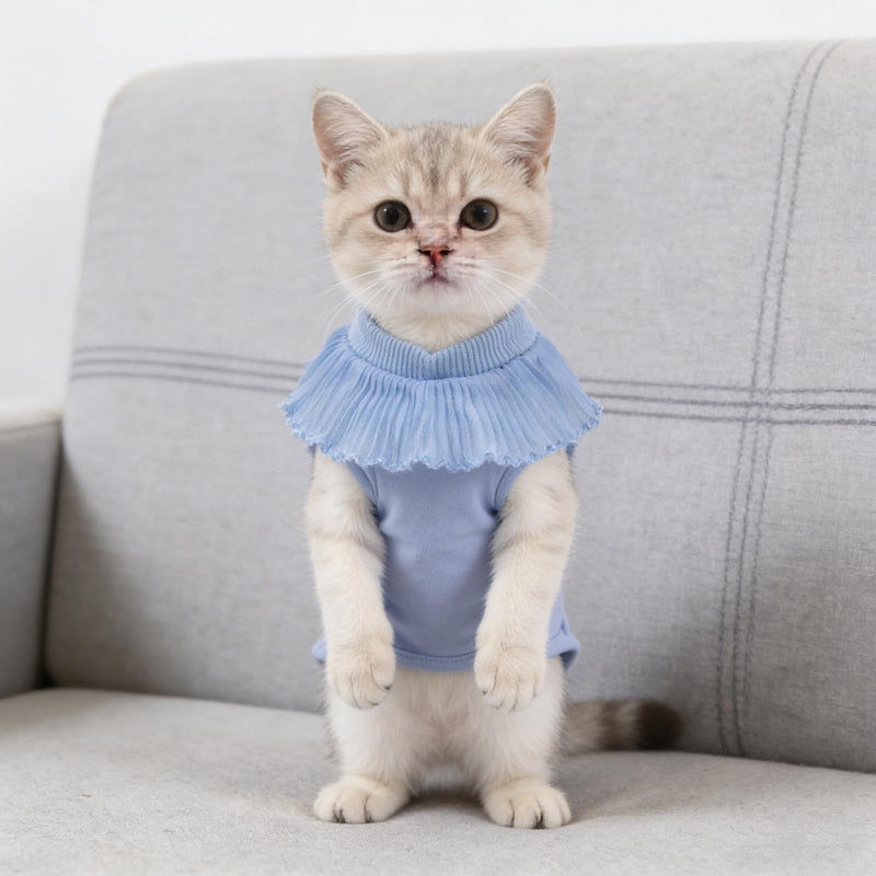 GALPADA Breathable Cat Recovery Suit made of Modal Fabric in Blue. Elastic material for protection and support after surgery in male and female cats.