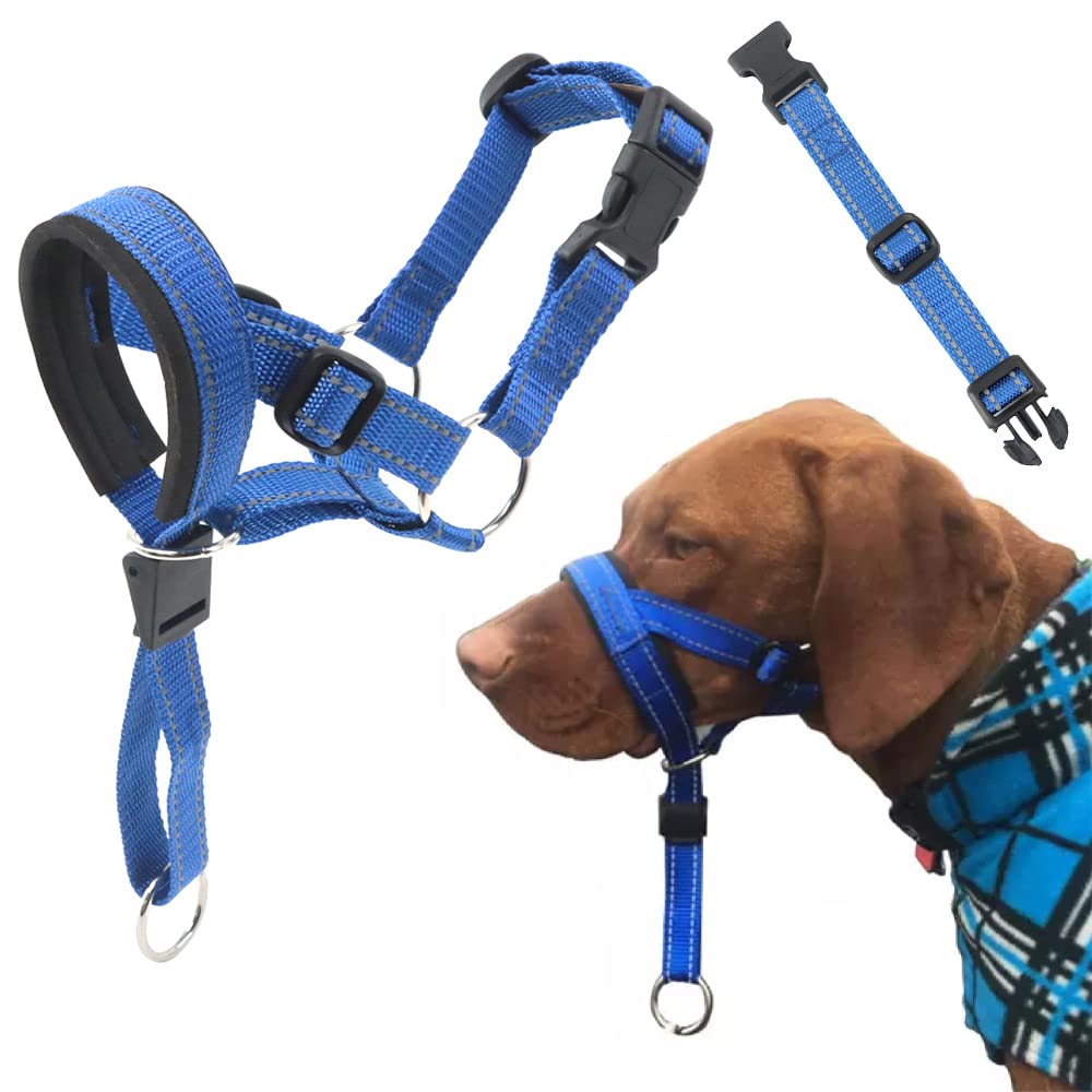 Dog Head Halter with Safety Strap - Headcollar - No-Pull Dog Collar – Perfect for Leash & Harness Training Medium and Large Dog Sizes (Size XL (Pack of 1), ฺBlue)