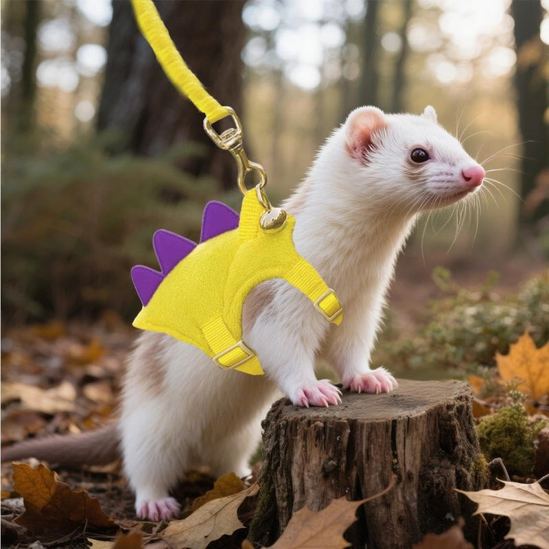 Yellow Dinosaur Hedgehog Leash and Harness Ferret Harness and Leash Set Hedgehog Accessories Adjustable Hamster Clothes Guinea Pig Outfits for Training Playing - PawsPlanet Australia