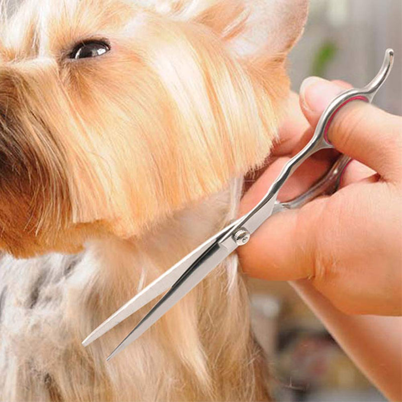 Dog Straight Scissors, 6" Dog Grooming Shear Stainless Steel Puppy Cat Hair Cutting Trimming Shears for Dog Grooming Family Use - PawsPlanet Australia