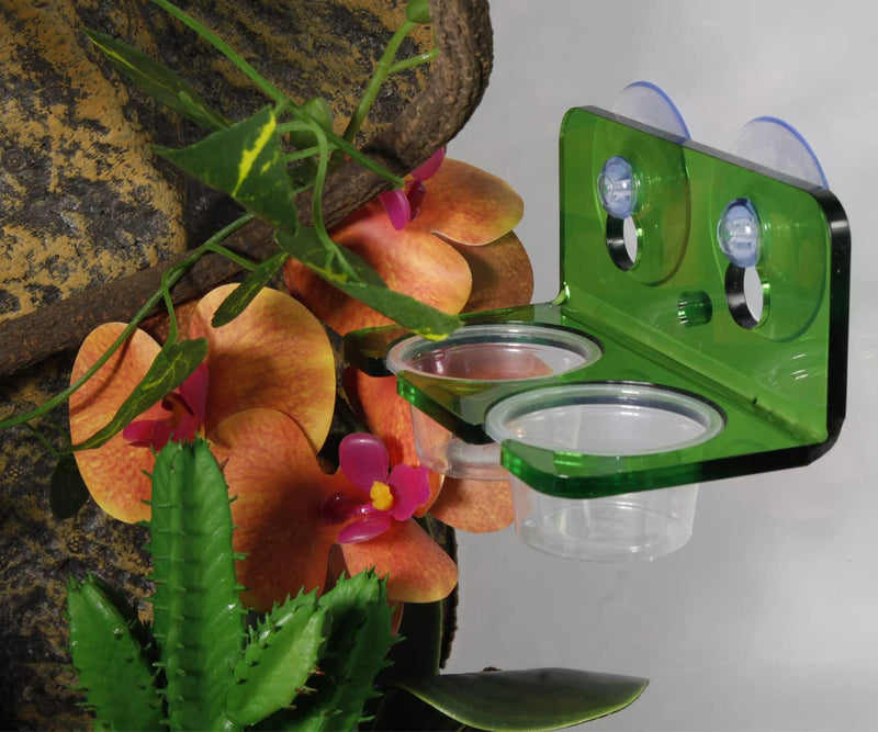 1oz Crested Gecko Food Cups, 100Pcs Reptile Plastic Feeding Dish - PawsPlanet Australia