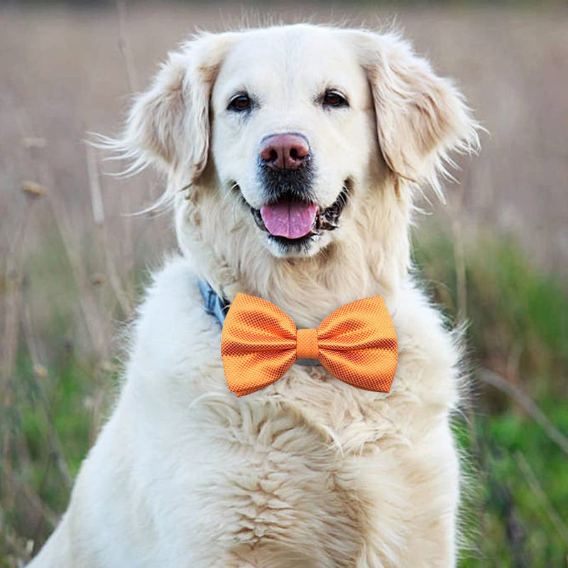 PET SHOW 10pcs 2.5”X4.5” Large Dogs Collar Attachment Bow Ties Embellishment Girls Boys Medium Dog Puppies Cats Collar Charms Accessories Bulk Slides Bowties for Birthday Wedding Parties 10pcs Bowties - PawsPlanet Australia