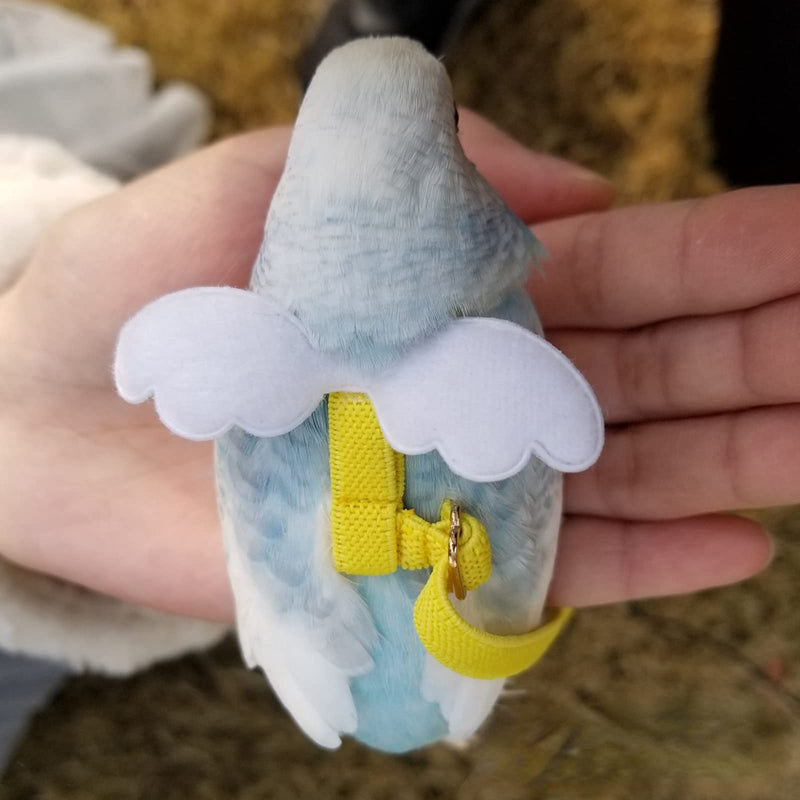 Pet Parrot Bird Harness Leash Adjustable Bird Flying Harness Traction Rope with Cute Wing for Parrots Pigeons Budgerigar Lovebird Cockatiel Mynah Outdoor Training Toy (M, Blue) Medium - PawsPlanet Australia