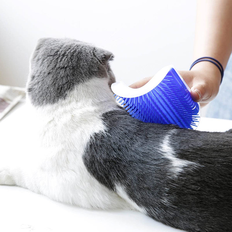 2 Pack Self Grooming Wall Brush for Cats and Dogs - Cat Groomer with Catnip, Massage Comb Tool for Long & Short Fur Pets (Blue) Blue
