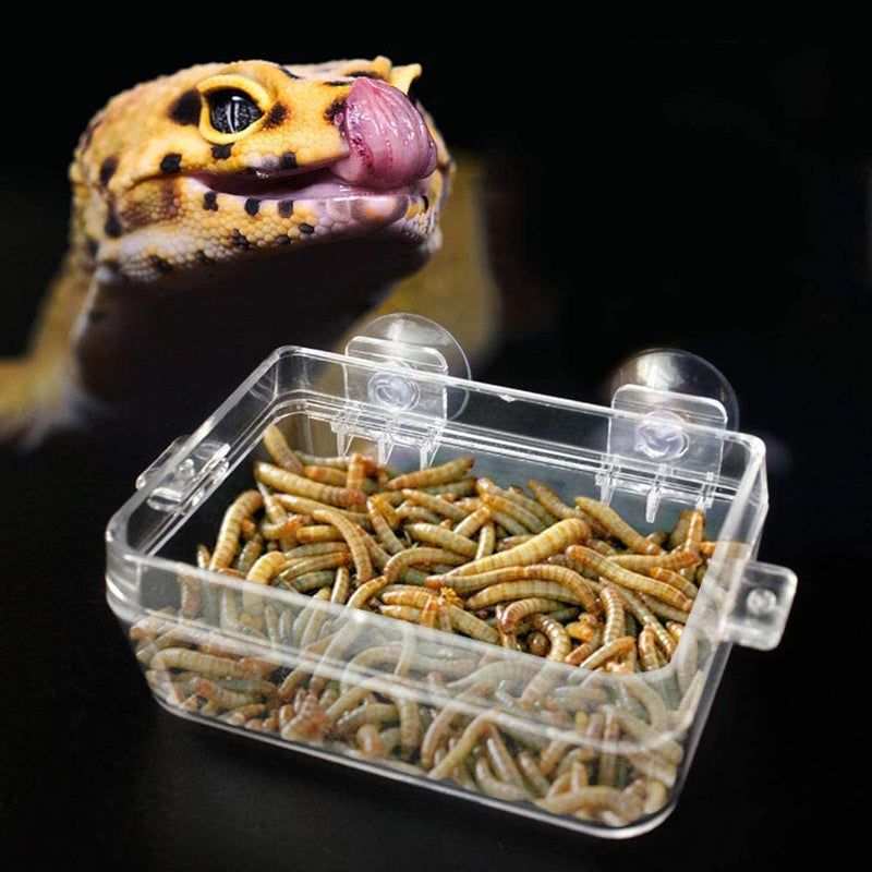 Reptiles Feeder, Amphibians Reptiles Anti-Escape Food Bowl Transparent Suction Cup Worm Feeding Basin for Gecko Snakes Iguana Lizard