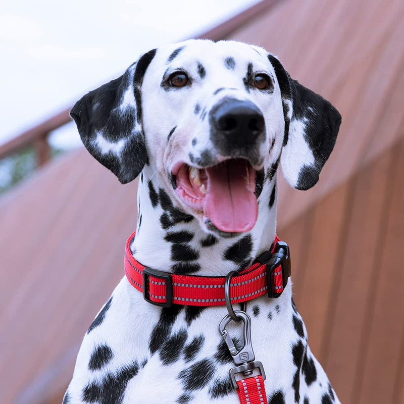 EXCELLENT ELITE SPANKER Reflective Dog Collar Classic Soft Padded Breathable Nylon Adjustable Pet Collar with Quick Release Buckle for Boy Girl Male Female Puppies Small Medium Large Dogs(Red-M) Red - PawsPlanet Australia