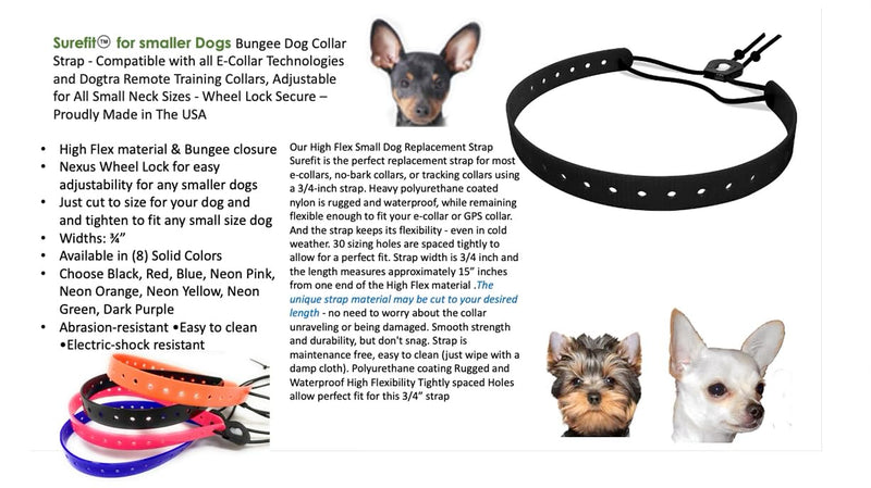 Replacement GPS eCollar with Adjustable Bungee, Multi-Hole Design, and Secure Toggle Closure for Small Dogs (Black, Small Neck) Small Dog 3/4" Black - PawsPlanet Australia