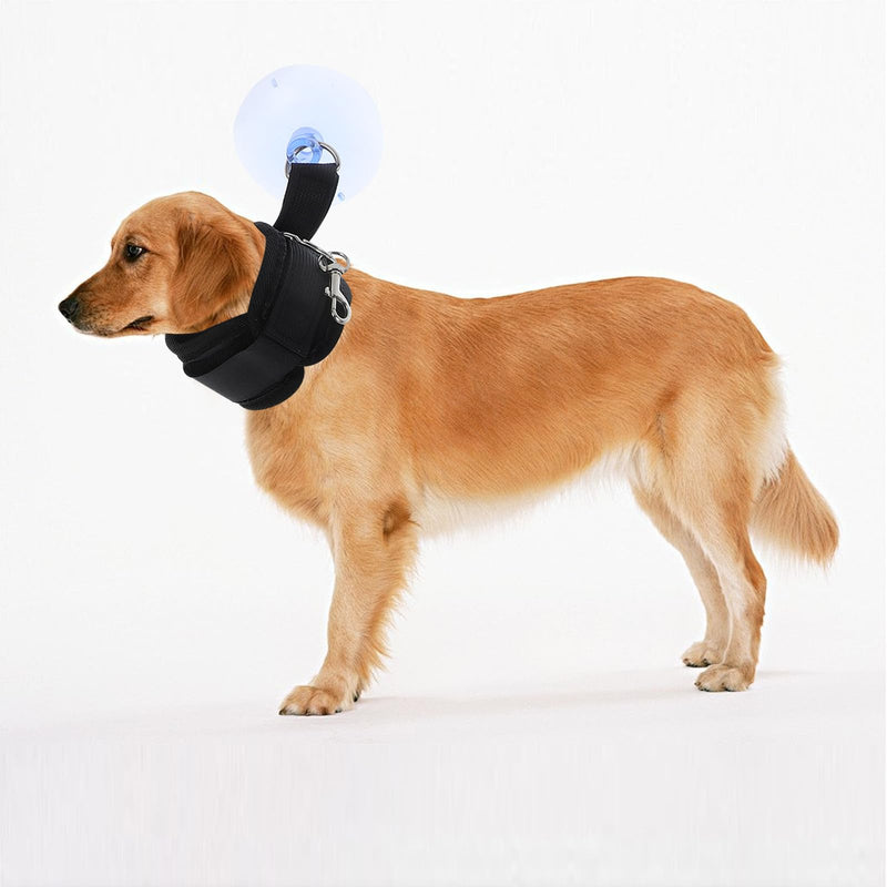 Suction cup grooming holder for dog bathing and nail care with adjustable bracket. Suitable for cats and dogs. Stable holder for safe bathing and grooming at home.