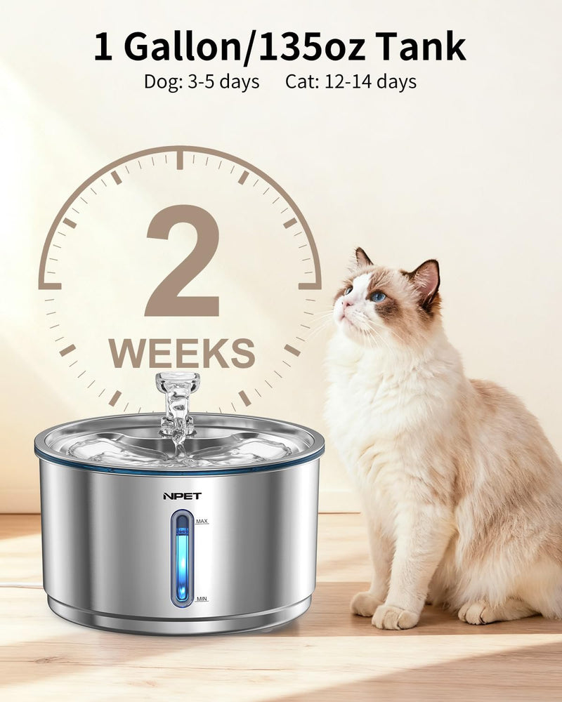 NPET Stainless Steel Cat Water Fountain, 1Gallon/135oz Automatic Pet Drinking Fountain Dog Water Dispenser Bowl with Water Level Window for Cats Indoor - WF210Plus With 1 Filter+1 Sponge 1 Gal Fountain - PawsPlanet Australia