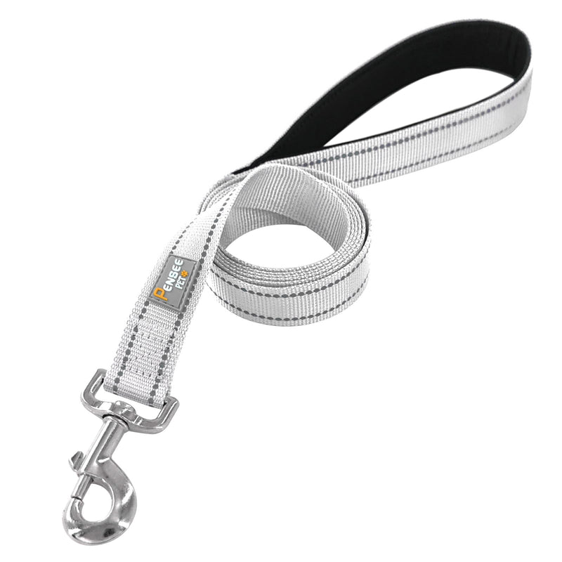 Dog Leash 6 FT Padded Handle Nylon Reflective Dogs Leashes for Medium Dogs Silver Medium : 3/4" x 6 FT Reflective Silver - PawsPlanet Australia