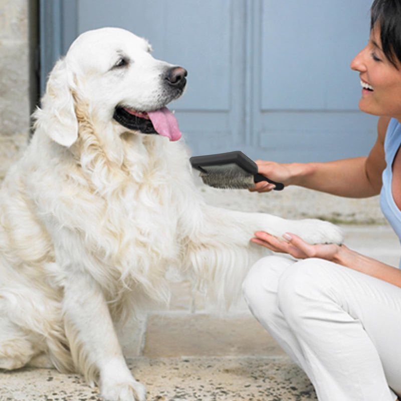 Pet Comb a Pin Comb Specifically Designed for Dogs Suitable for Medium to Long-Haired Dogs The Long Pins Can Remove Loose Hair Tangles and Knots Making It The Best Grooming Tool for Your Pet's Fur - PawsPlanet Australia