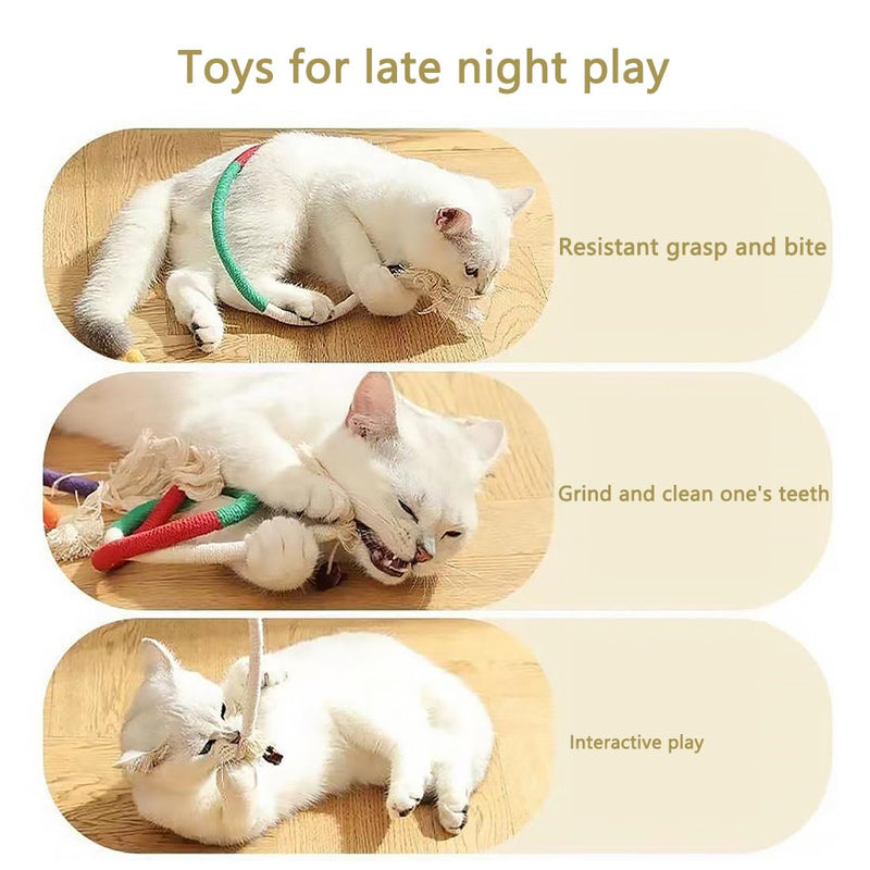 Cat Chew Toys 5 Piece Set, Indoor Interactive Teasing Cotton Rope Feather Toys, Safe Dental Cleaning and Teething Toys for All Cats