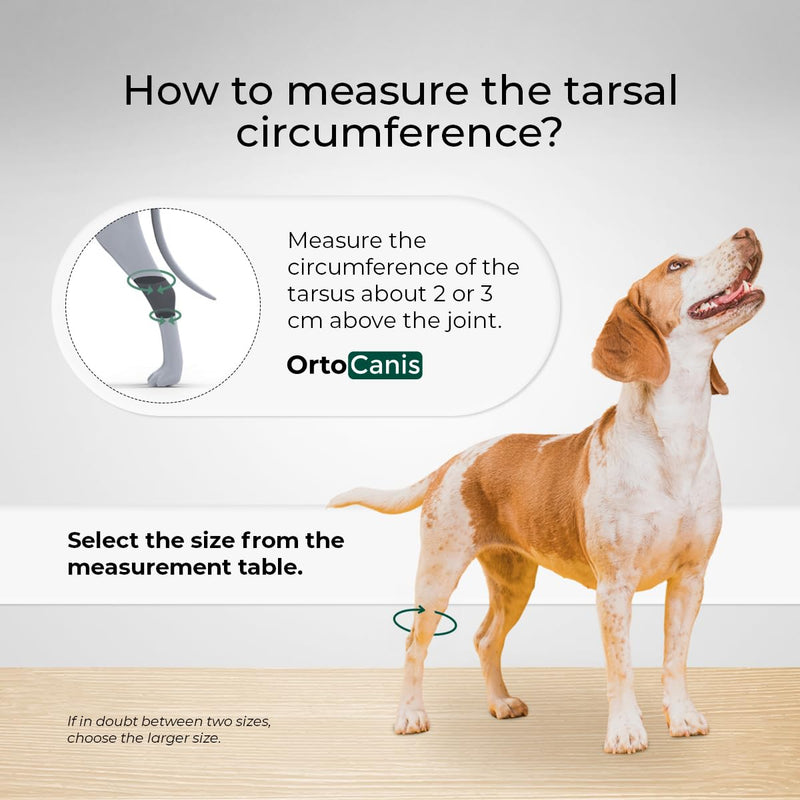 Ortocanis - Tarsal Support for Dog - Ankle Brace for Arthritis, Tarsal and Ligament Injuries, Osteoarthritis, Tendon Inflammations - Made of ARD Neoprene - Size: S 12,5-14 cm - 10.5-12 cm Size S.