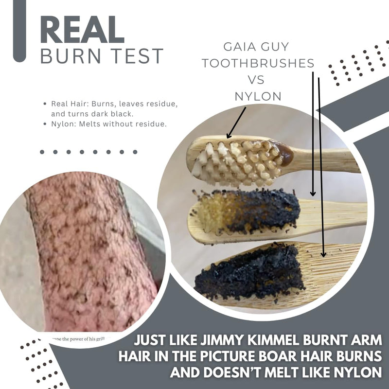 Gaia Guy Bamboo and Boar Bristle Double-Sided Pet Toothbrushes - 6-Pack - for Dogs, Cats and Planet - Plastic-Free and Nylon-Free Natural Bristles - No Microplastics - PawsPlanet Australia