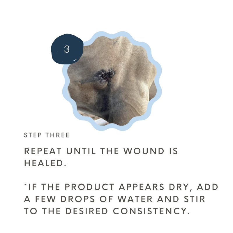 Wound Salve - For Horses, Pets, Livestock & People - Calendula, Shields Abrasions, Stops Infections, Promotes Scabbing, Reduces Inflammation & Scarring, Vet-Approved - Bev's Magic Salve (12 oz) 12 oz