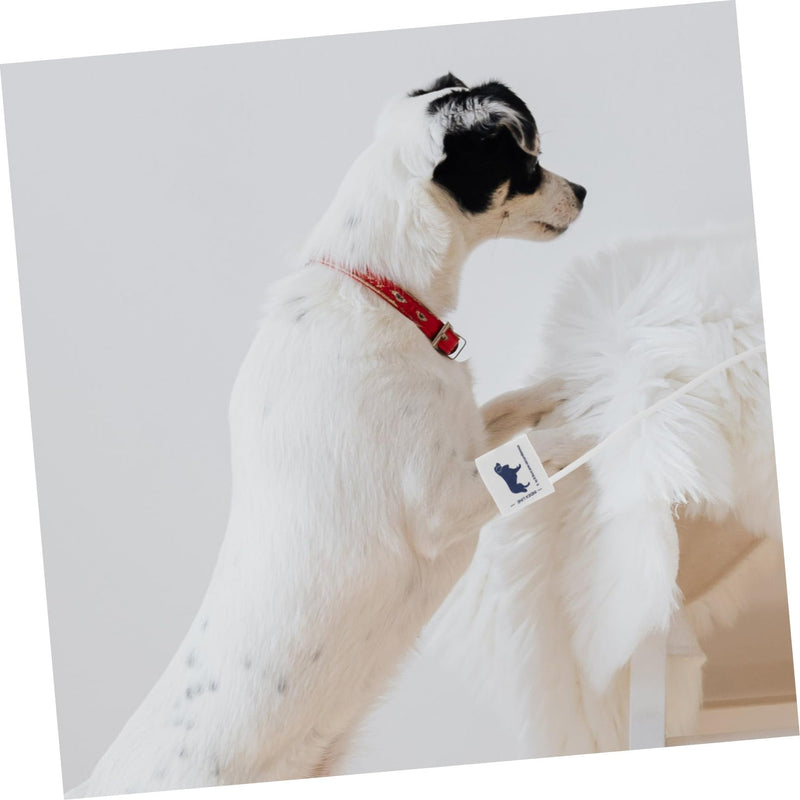 SOLUSTRE Reusable Blood Pressure Cuff for Pets Made of Durable Non-Woven Fabric and TPU Comfortable and Safe for Dogs and Cats in Everyday Life