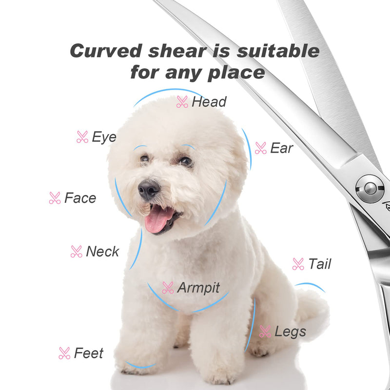 Dog Cat Scissors for Grooming, Pet Shears for Thick Coats and Matted Hair, Thinner Curved Straight Chunker Stainless Steel Shears (8.0" Curved Silver) 8" Curved - PawsPlanet Australia
