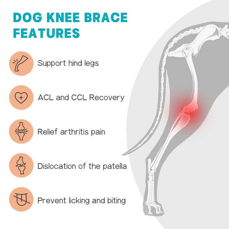 Dog Knee Brace for Torn ACL Hind Leg–Adjustable Support Dog Leg Brace for Back Leg with 2 Stabilizers, Hip Support to Reduces Pain Luxating Patella , Ligament Injuries, CCL (Black, Right Leg, 2XL)