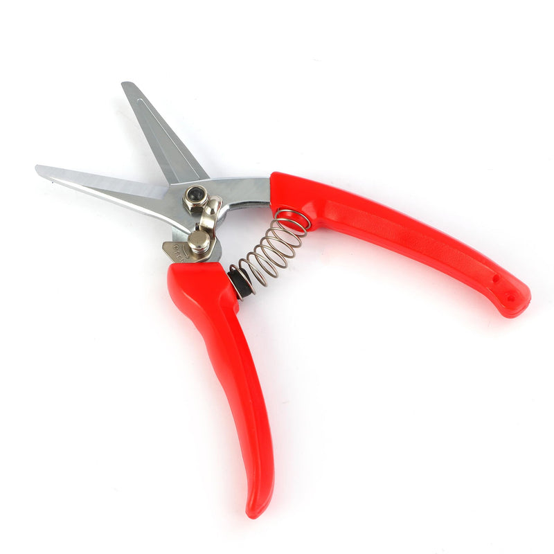 goat hoof trimmers with Mini Hoof rasp File (8-inch) - Nail Clippers for goat Sheep, Alpaca, Lamb, Pig -hoof rasp file - goat nippers - hoof trimmers - Hoof rasp file - PawsPlanet Australia
