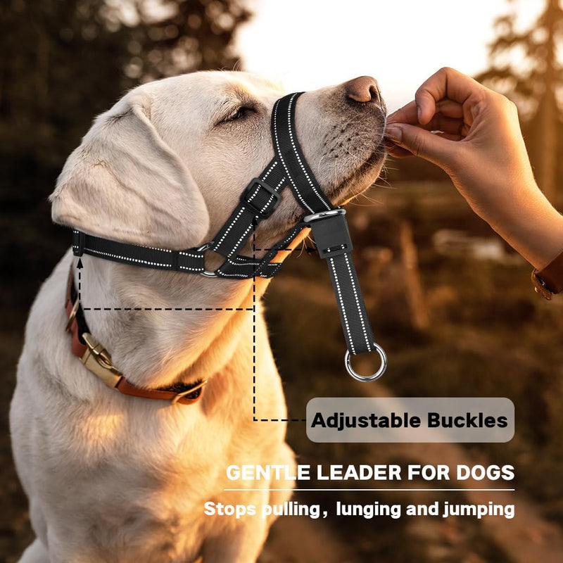 Dog Head collar - Adjustable Dog Head Halter No Pull Dog Harness - Soft Padded Headcollar with Safety Reflective Strap - Effective Dog Training Tools for Easier Walks (Medium, Black) Medium (Snout 7.5"-14.2") - PawsPlanet Australia