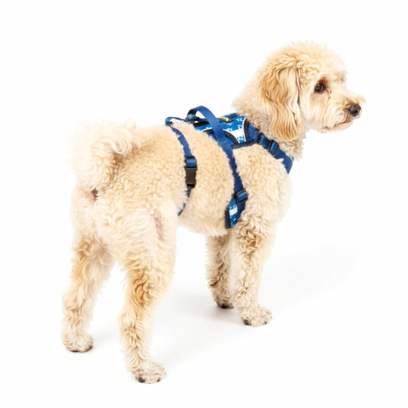 Anti-Escape Dog Harness. Adjustable No Pull, Reflective, Breathable, Padded. Ideal for Puppy Essentials. Small to XL Breeds, Perfect Collars, Harnesses & Leads for Dogs. (Blue, Small) Blue