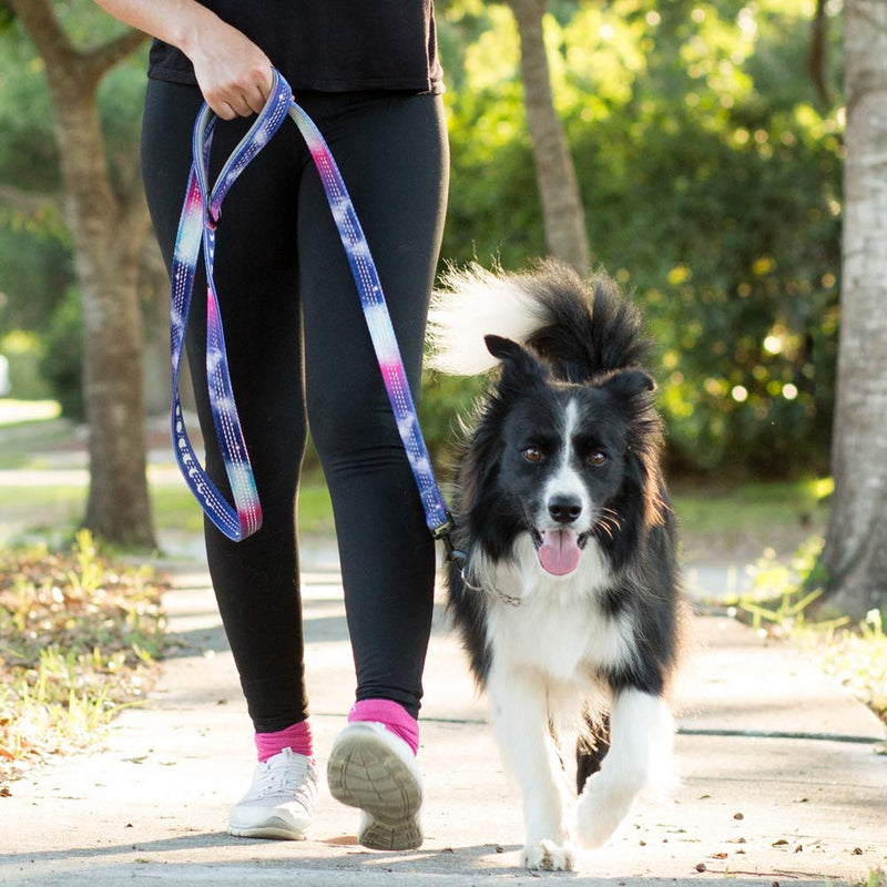 Leashboss Martingale Collar For Dogs - Steel Chain | Reflective Nylon Dog Collar for Large Dogs, Medium and Small Dogs | No Pull Pet Training Collar Small | Quick Release Buckle, Adjustable Pet Collar Medium-Large (16-19" Neck x 1" Wide) - PawsPlanet Australia