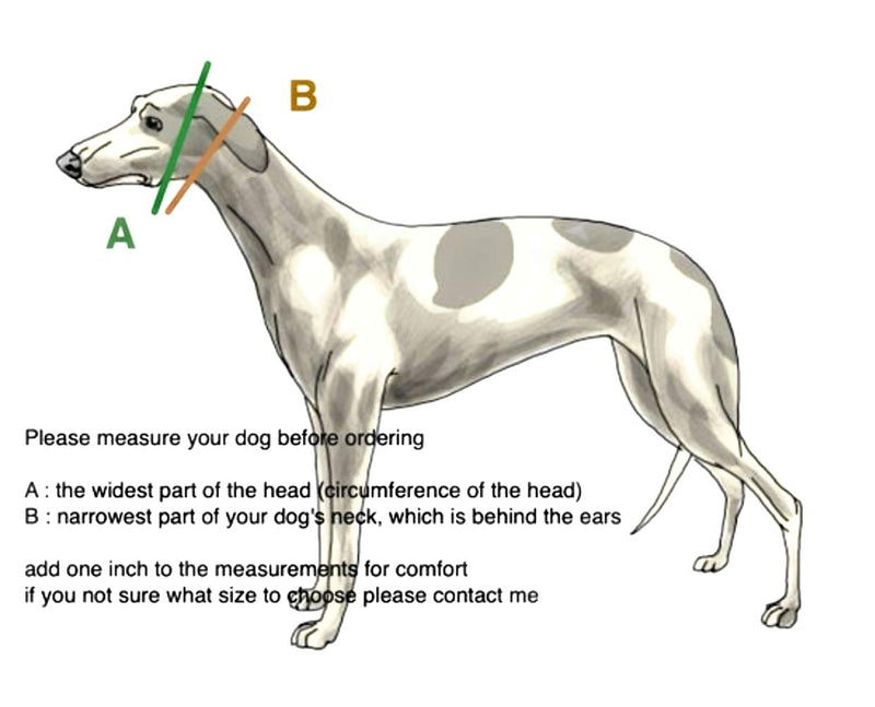 Martingale Dog Collar for Greyhound Saluki Whippet and Other Breeds with Similar Neck 2" Wide (11"-14") Matching Leash Available M 11"-14" - PawsPlanet Australia