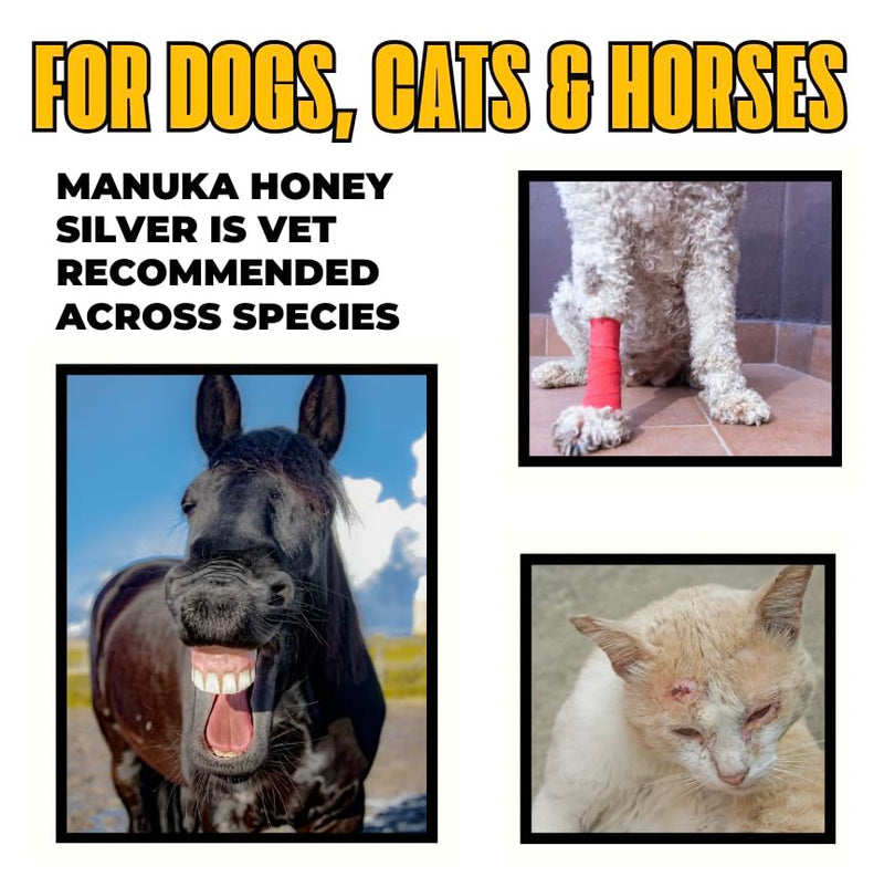 Well-Being Manuka Honey Silver Rapid Wound Repair Ointment For Dogs, Cats and Horses Superior Healing Qualities For Rapid Repair Of Cuts, Surgical Inscisions, Abrasions Prevents Infection 2 Ounce