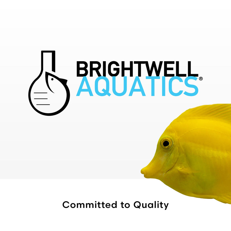 Brightwell Aquatics Magnesion Liquid Salt Water Conditioner - Concentrated Magnesium Supplement For Reef and Marine Aquariums, 16.9 fl oz 500-ml