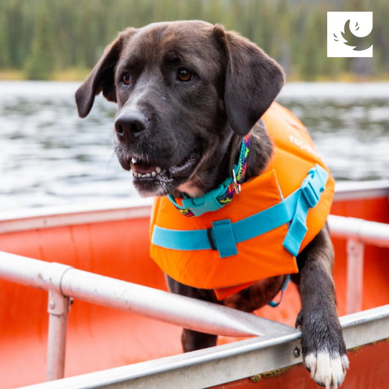 RC Pets Tidal Life Vest, Adjustable Dog Life Jacket, Orange/Teal, XX-Small XXS 1 - PawsPlanet Australia