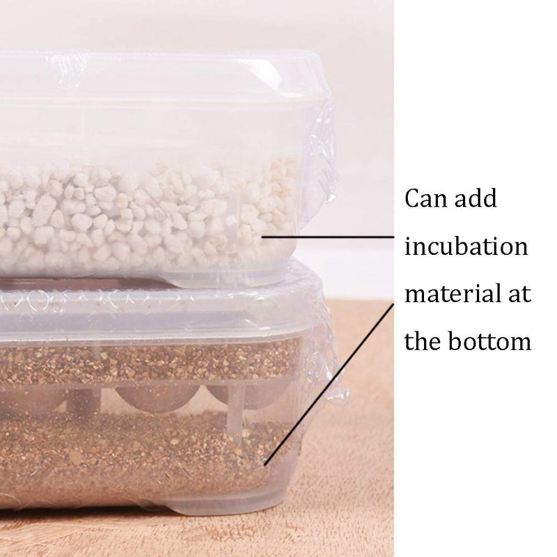 NGe Reptile Egg Breeding Hatchery Box Incubator Tray Container Box for Snake Gecko Lizard (12 Holes) - PawsPlanet Australia