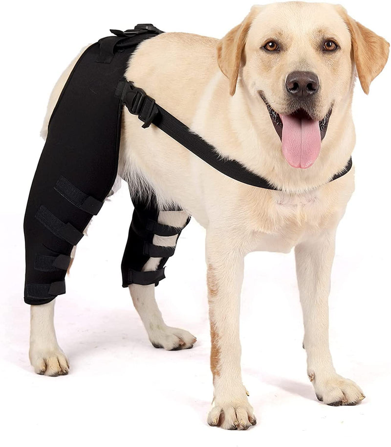 Zerodis Pet Dog Rear Leg Protector, Adjustable Knee Support Leg Support Dog Hock Brace Rear Leg Joint Wrap Protects for Dogs Recover Rear Legs (XS-Black) XS black