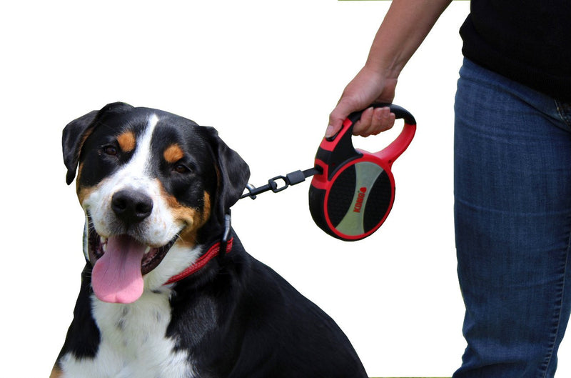 Alcott Kong Terrain Retractable Dog Leash, Large, Grey, 16' Long Large 16' - PawsPlanet Australia