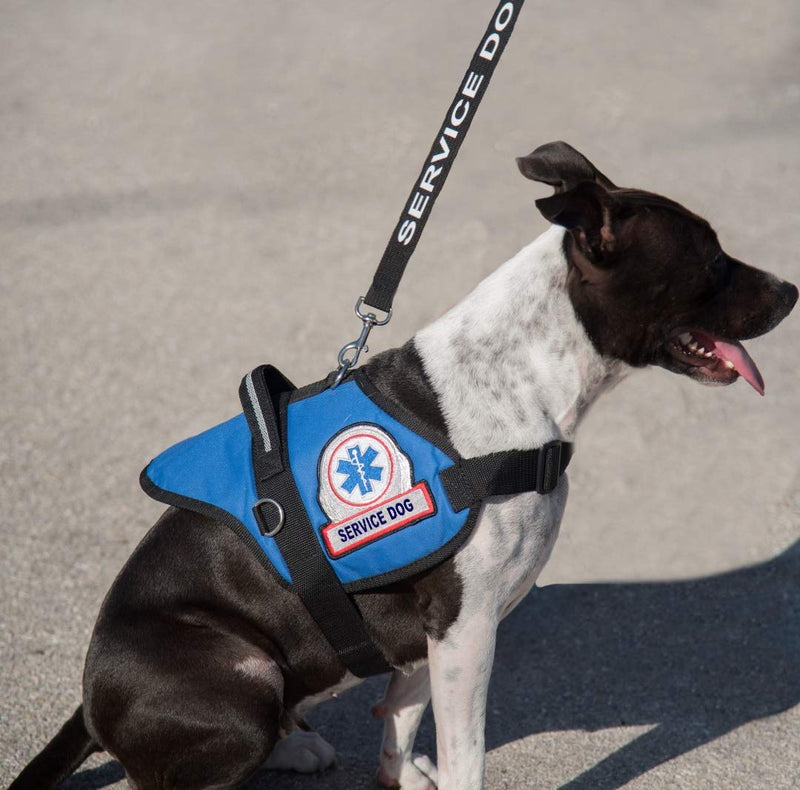 Service Dog Leash - Includes 5 Federal Law Handout Cards - Can Be Used with or Without a Service Dog Vest - PawsPlanet Australia