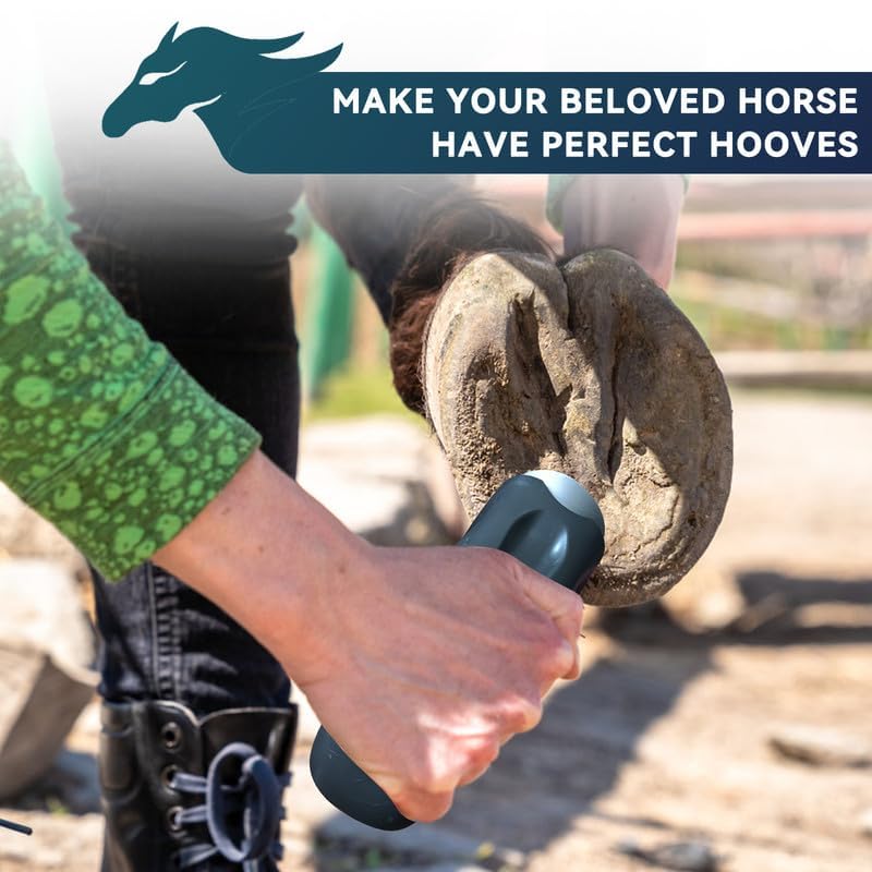 Farrier Hoof Rasp File Arc Shape Ergonomic Handle Hoof Trimming Tool with Fine Teeth Option for Repairing Pony, Goat, Horse, Pig, and Other Animal Hooves Coarse & Fine Teeth - PawsPlanet Australia