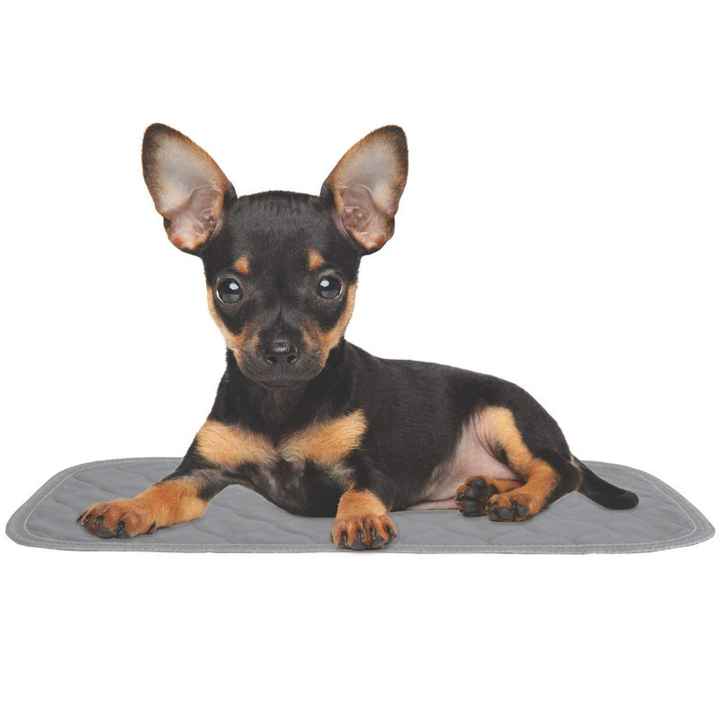 rocket & rex Premium Washable Pet Carrier Pads, Reusable, Waterproof & Absorbent, Dog and Cat Pads for Lining Travel Carriers, Litter Boxes, Pet Crates & More, 17.5" x 11" (Pack of 2) XS (17.5 x 11") 2-Pack - PawsPlanet Australia